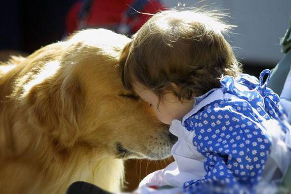 Den krammesikre løsning, flåt- og loppestopper for børn ug hunde